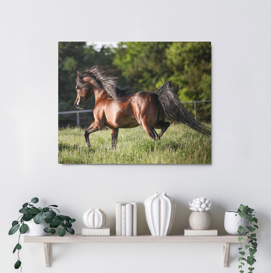Prancing Horse Wall Art, Equestrian Home Decor