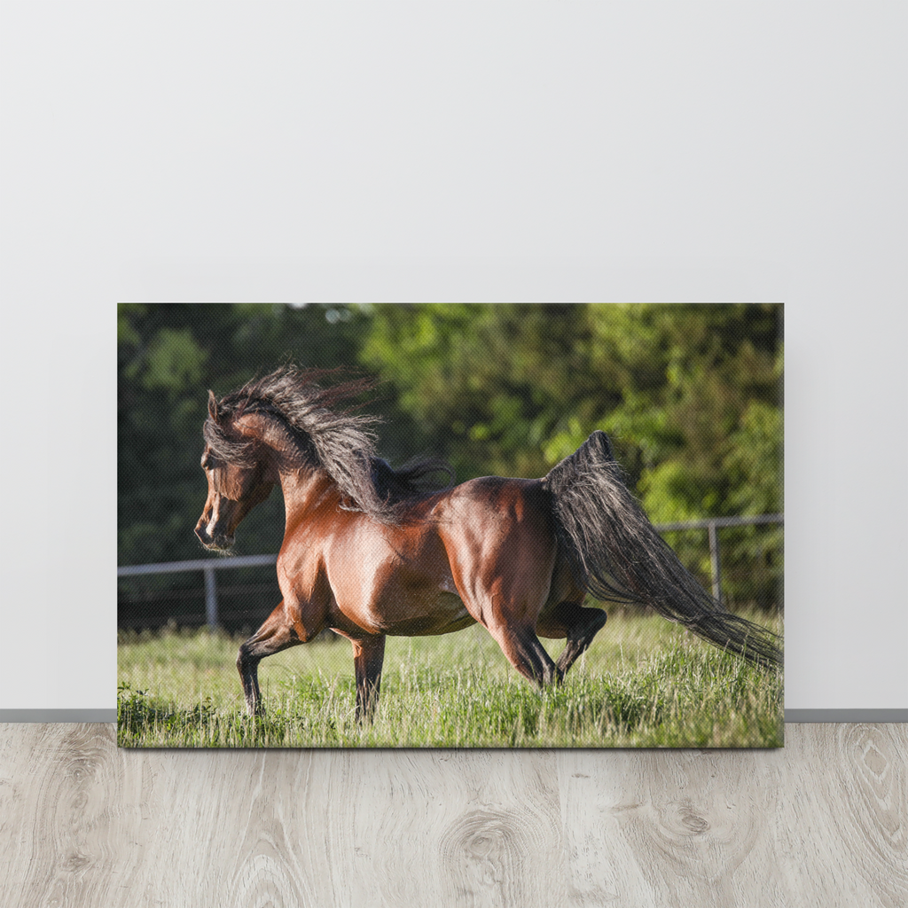 Prancing Horse Wall Art, Equestrian Home Decor