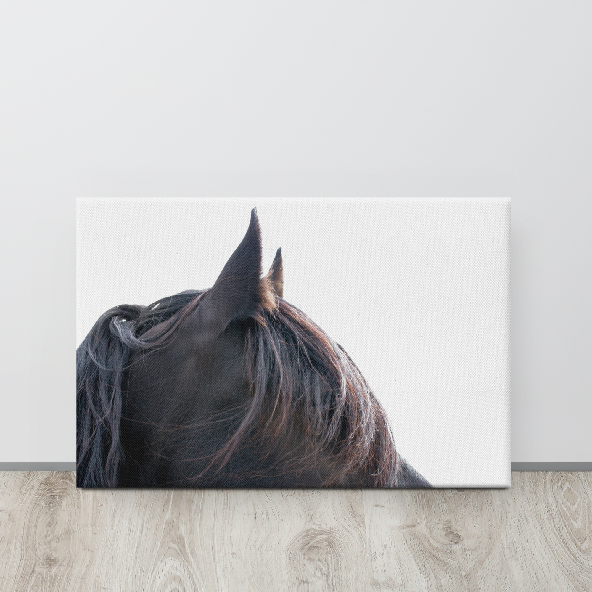 Dark Horse Close Up, Equestrian Wall Art and Home Decor