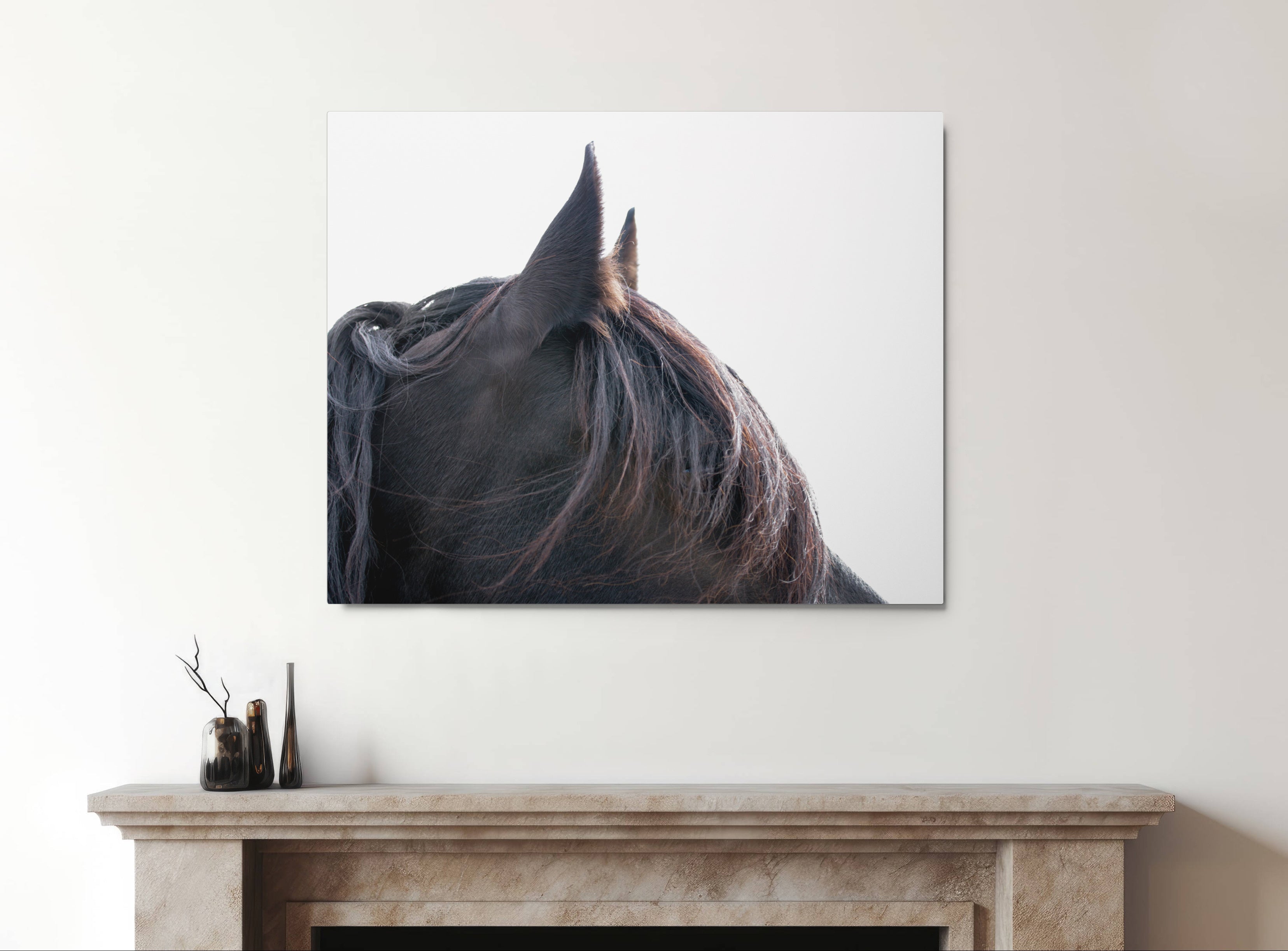 Dark Horse Close Up, Equestrian Wall Art and Home Decor