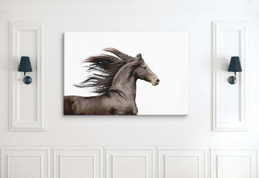 Dark Horse Running, Black and White Equine Wall Art