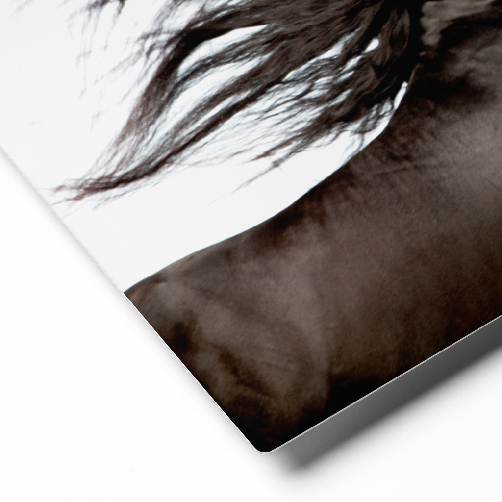 Dark Horse Running, Black and White Equine Wall Art